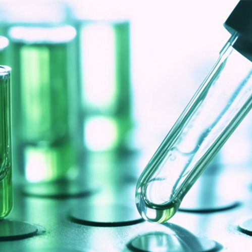 大鼠瘦素检测试剂盒