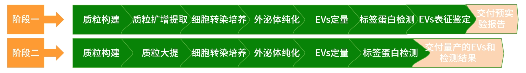 外泌体蛋白负载服务|蛋白膜内外工程化装载/靶向递送|酶和蛋白
