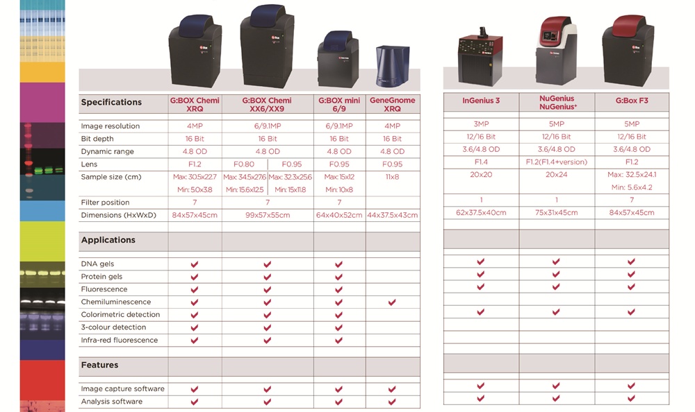 精诚合作，互相成就! 祝贺Bio-Gene成为Syngene中国区官方代理商