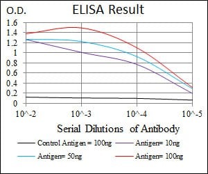 Mouse Monoclonal Antibody to S