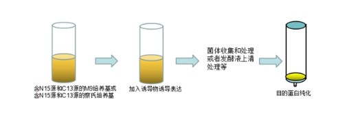 Recombinant Human NFYA
