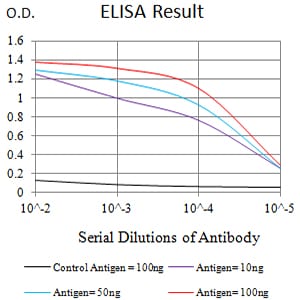 Mouse Monoclonal Antibody to C