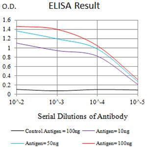 Mouse Monoclonal Antibody to C