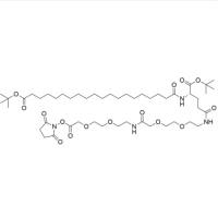 tBuO-ICO-Glu(AEEA-AEEA-OSu)-OtBu