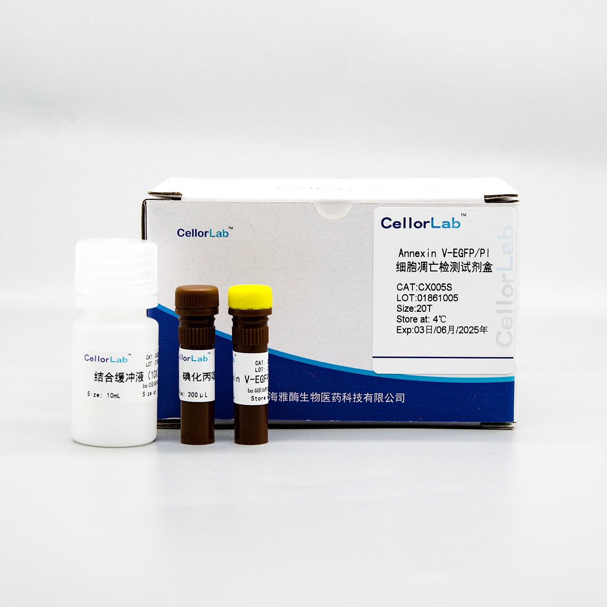 CX005S Annexin V-EGFP/PI凋亡检测试剂盒