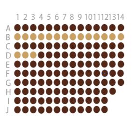 子宫内膜癌组织芯片(EMC1351)