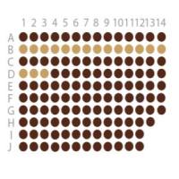 子宫内膜癌组织芯片(EMC1351)