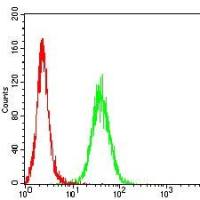 Mouse Monoclonal Antibody to CD62P