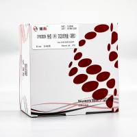 YJ208 Flag免疫(共)沉淀试剂盒(凝胶)