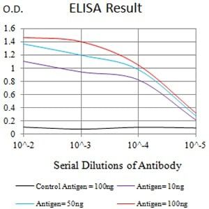 Mouse Monoclonal Antibody to CD66B