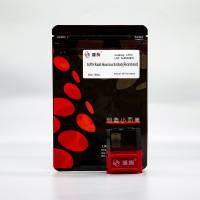 LF211 GAPDH兔单克隆抗体