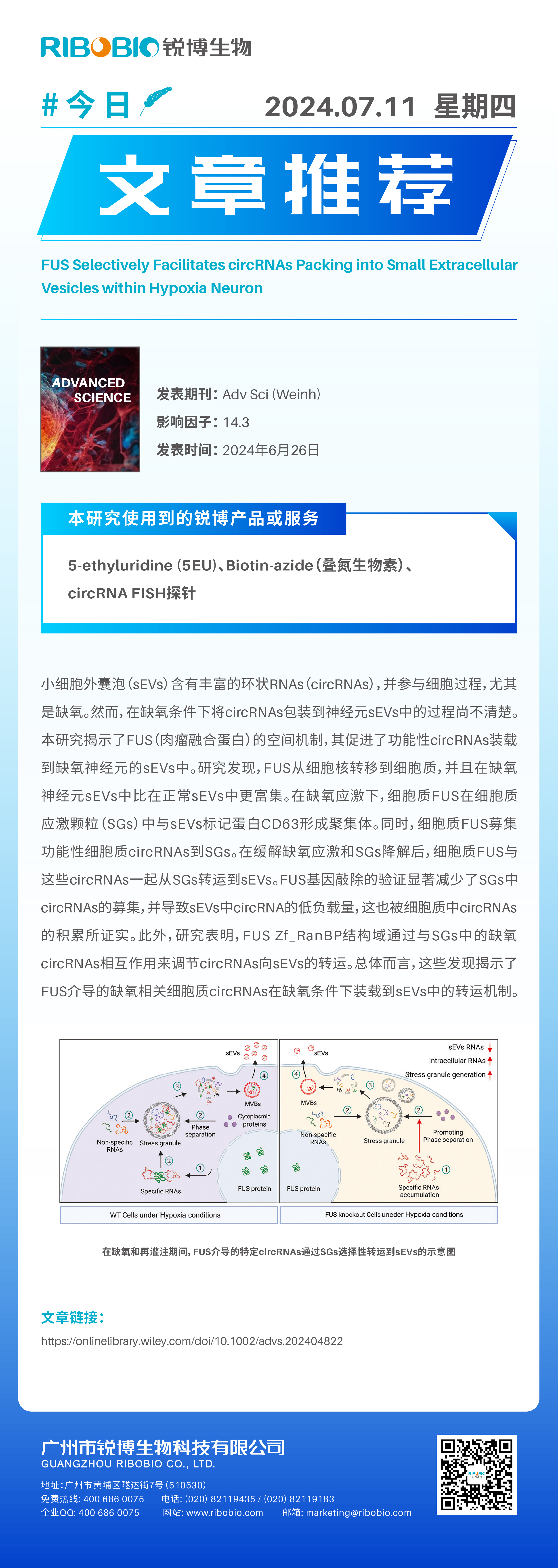 今日文章推荐（IF14.3）丨FUS选择性地促进circRNA进入缺氧神经元内的小细胞外囊泡中