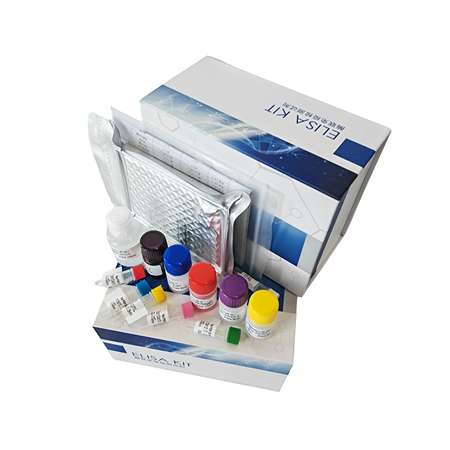 小鼠ELISA试剂盒原理及注意事项