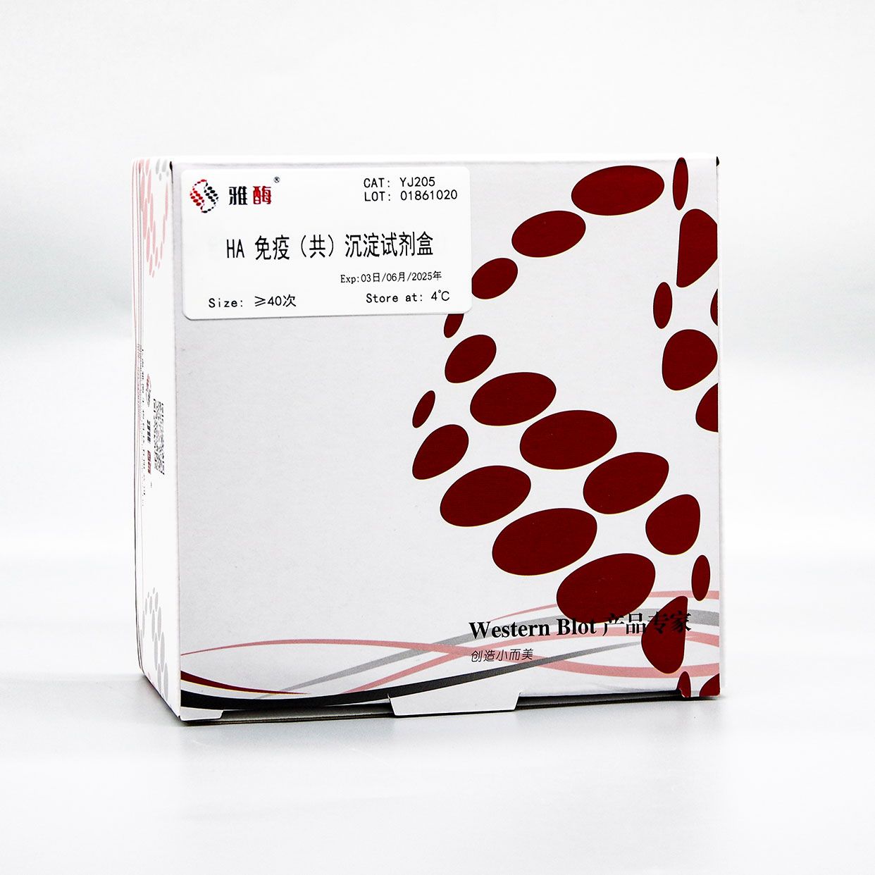 YJ205 HA免疫(共)沉淀试剂盒