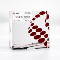 YJ205 HA免疫(共)沉淀试剂盒