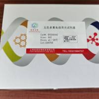 五色多重荧光免疫组化染色试剂盒（抗兔二抗）