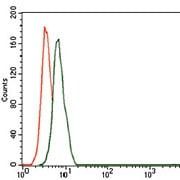 Mouse Monoclonal Antibody to CD59
