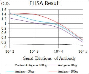 Mouse Monoclonal Antibody to C