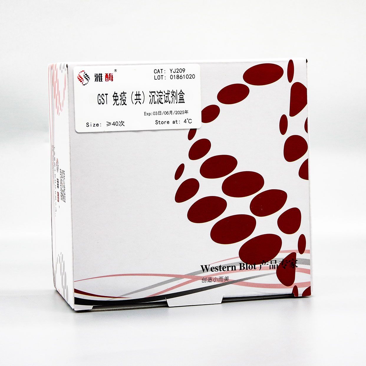 YJ209 GST免疫(共)沉淀试剂盒