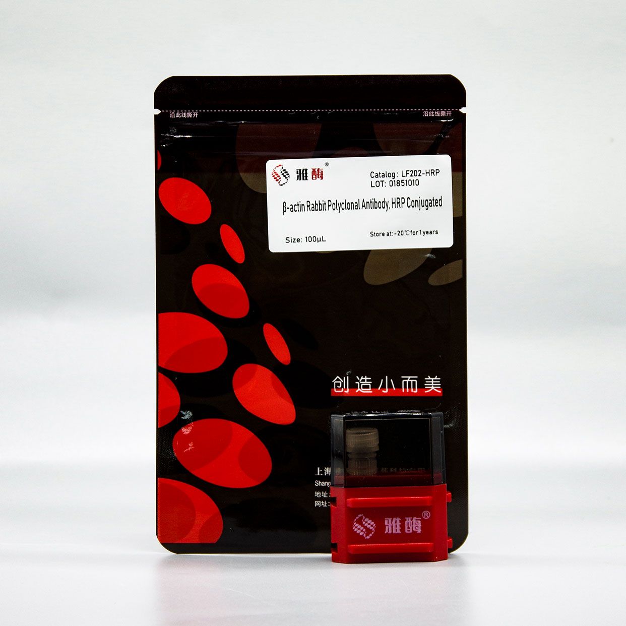 LF202-HRP HRP标记β-actin兔多克隆抗体