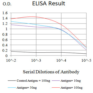 Mouse Monoclonal Antibody to C