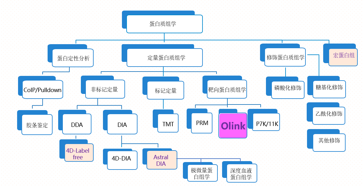 最强定量CP | 靶向代谢组学+Olink蛋白组学–双组学驱动临床疾病深层研究