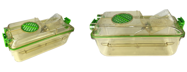 动物IVC笼，大鼠IVC笼，大鼠清洁饲养笼