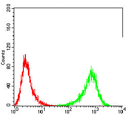 Mouse Monoclonal Antibody to C