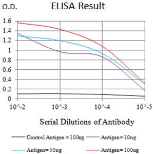 Mouse Monoclonal Antibody to C
