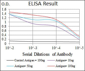 Mouse Monoclonal Antibody to C