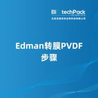 Edman转膜PVDF步骤