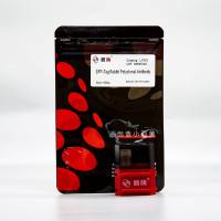 LF310 GFP-Tag兔多克隆抗体