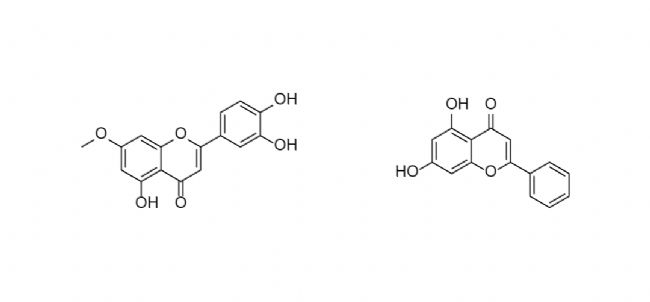 科研助攻 | 速戳！天然产物如何对抗癌症多药耐药性？ | MedChemExpress (MCE)