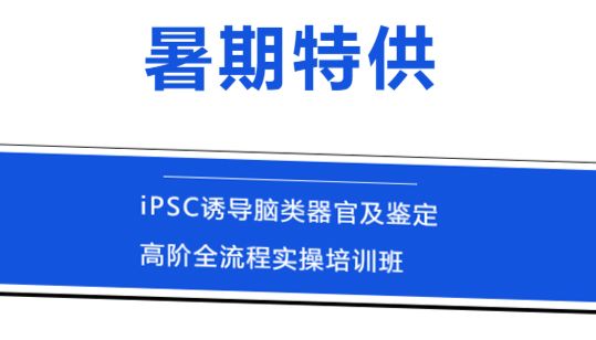 脑类器官培训丨放大招！iPSC诱导脑类器官及鉴定高阶全流程实操培训班来了！