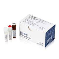 TaqMan™乾坤™白金™一步法多重预混液 赛默飞 A54080/A54081/A54082