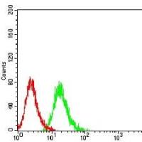 Mouse Monoclonal Antibody to CD101