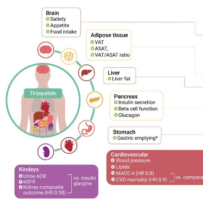国内获批：司美格鲁肽！市场热捧的 