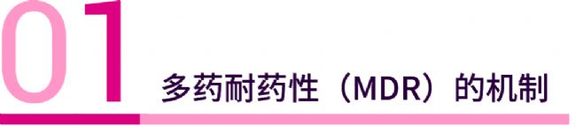 科研助攻 | 速戳！天然产物如何对抗癌症多药耐药性？ | MedChemExpress (MCE)