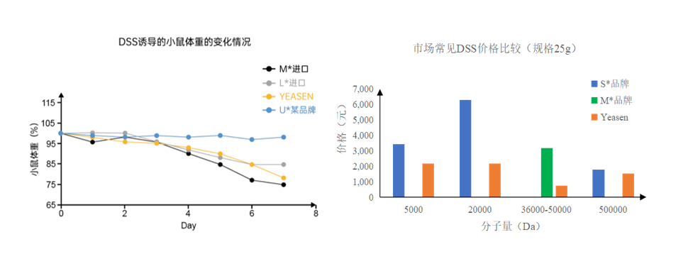 DSS诱导小鼠溃疡性结肠炎模型
