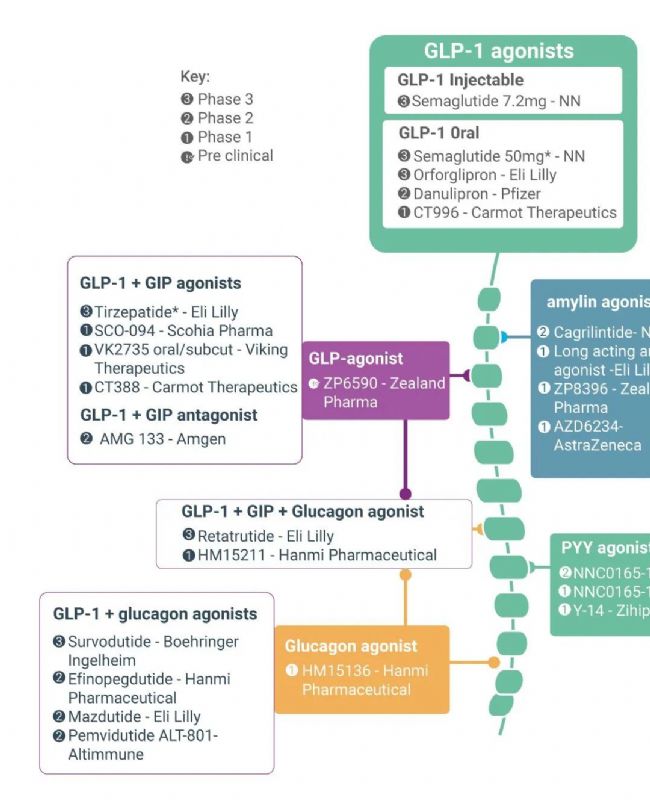 国内获批：司美格鲁肽！市场热捧的 