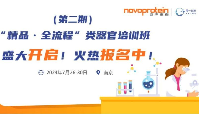 第二期“精品·全流程”类器官培训班盛大启幕！席位有限，报名正热！