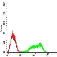 Mouse Monoclonal Antibody to CD97