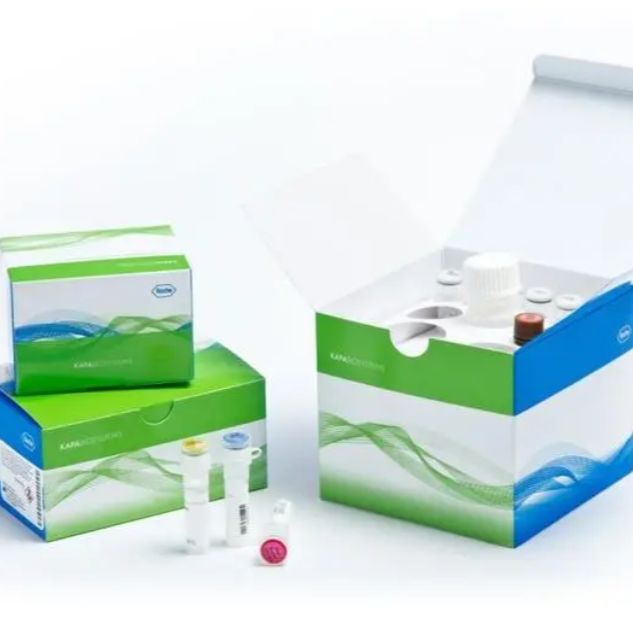 KAPA 2G快速热启动多重混合液 2G Fast Multiplex PCR Kit KK5801/KK5802