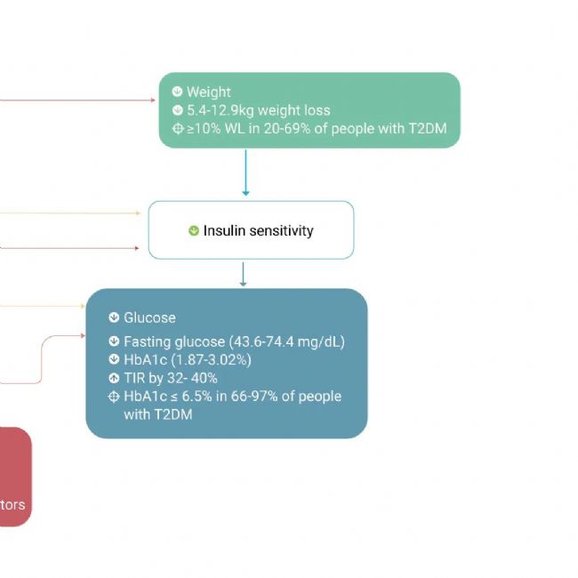 国内获批：司美格鲁肽！市场热捧的 