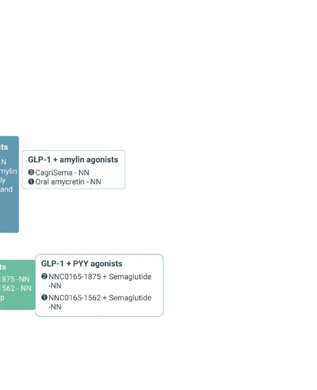 国内获批：司美格鲁肽！市场热捧的 
