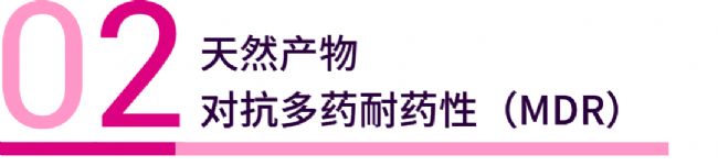 科研助攻 | 速戳！天然产物如何对抗癌症多药耐药性？ | MedChemExpress (MCE)