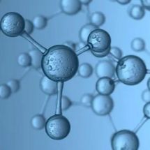 生物素连接酶(BirA)