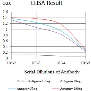 Mouse Monoclonal Antibody to C