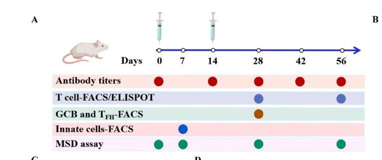 LabEx MSD平台助力探索SARS-CoV-2的疫苗研究