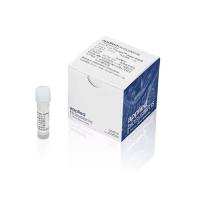 乾坤™ 白金™ SYBR™ Green 预混液 赛默飞 A57155/A57156/A57157